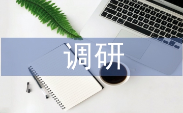 房地產項目調研