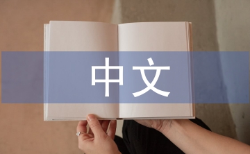 中文專業論文