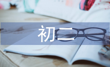 初二數(shù)學(xué)問題論文