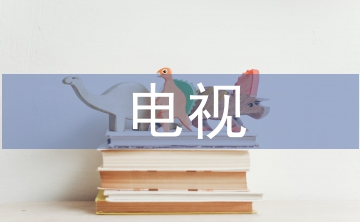 電視新聞報道
