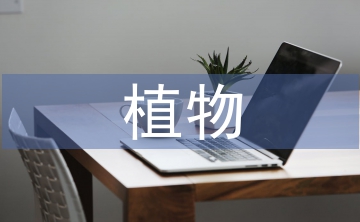 園林綠化中植物造景的應用