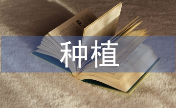 種植效益論文