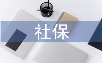 社保基金投資論文