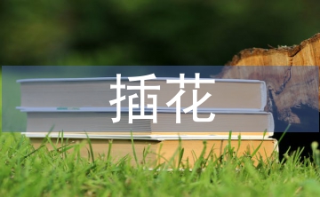 插花自我總結