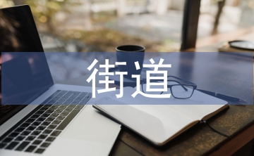 街道婦聯工作計劃