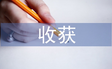 對納稅籌劃的認識與收獲