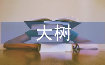 野生香樟大樹的移栽與養護