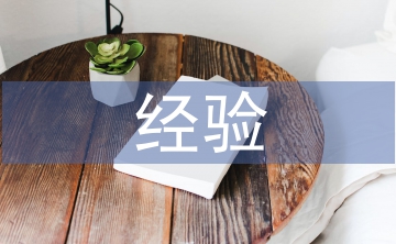 經濟責任審計經驗