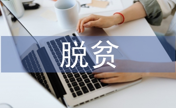 村級脫貧攻堅工作總結