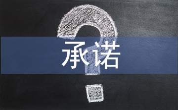 合規(guī)履職承諾報告