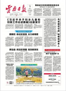 云南日報雜志