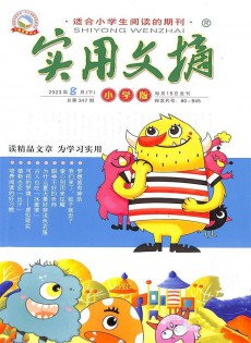 實用文摘雜志