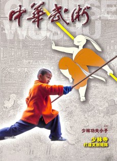 中華武術