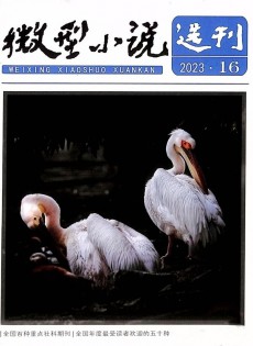 微型小說(shuō)選刊